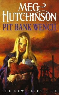 pit bank wench isbn:9780340696903 出版时间:2000-06 作   者