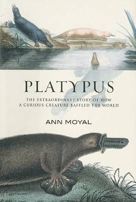 platypus the extraordinary story of how curious creature