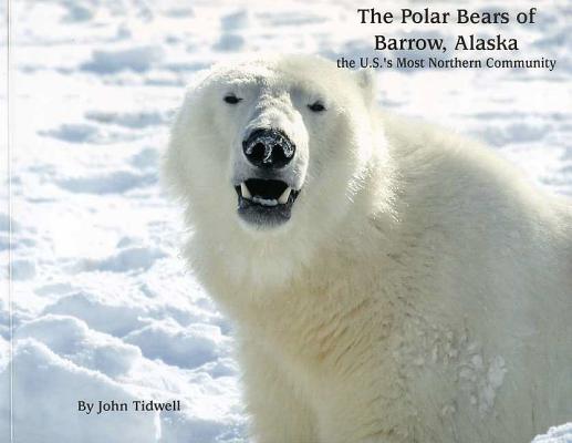 the polar bears of barrow, alaska: the u.s.