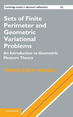 Sets of Finite Perimeter and Geometric Variational Problems:An Introduction to Geometric Measure Theory