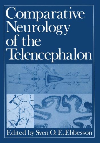 comparative neurology of the telencephalon